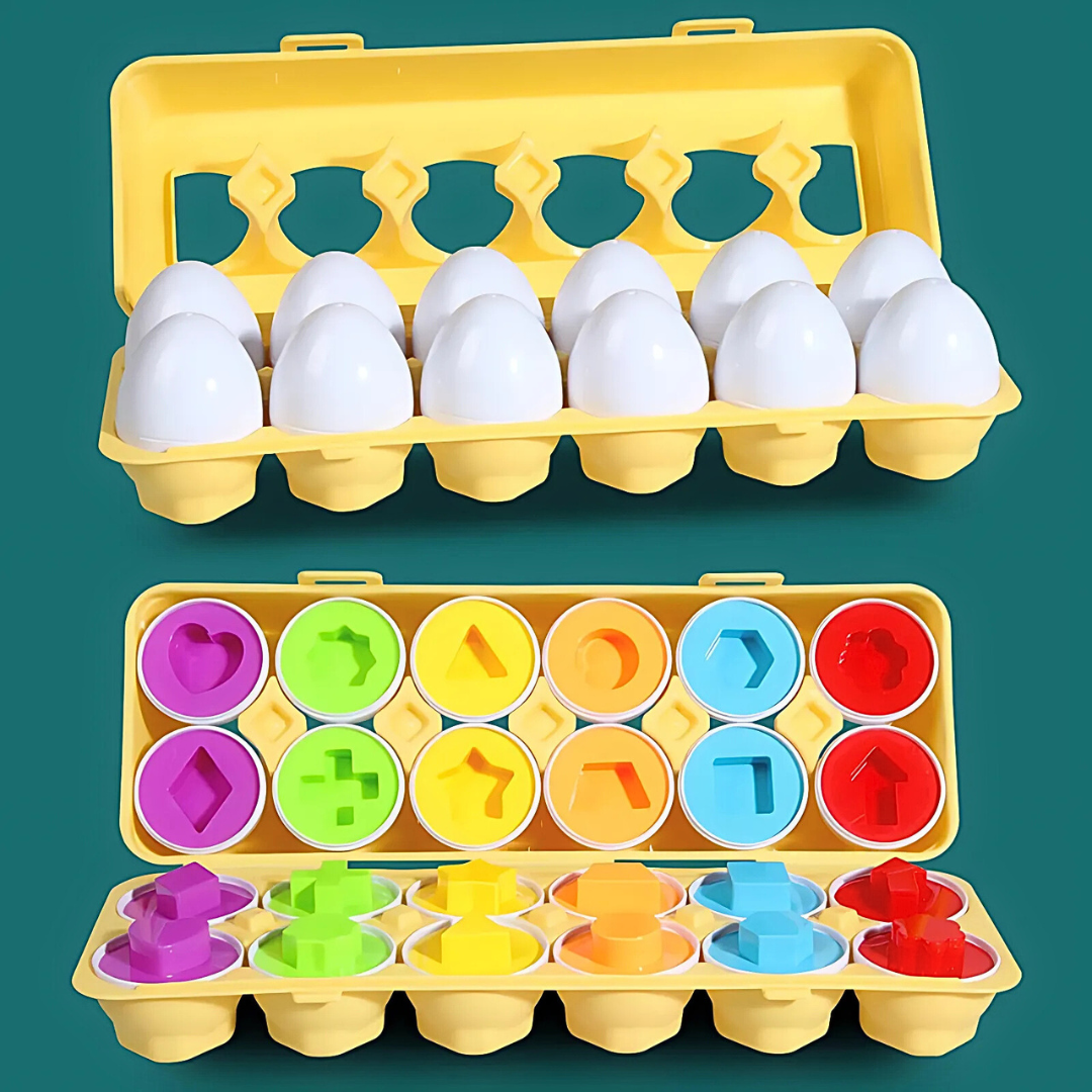 Montessori Eggs Shape Sorting