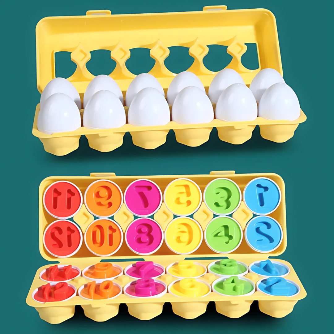 Montessori Eggs Shape Sorting