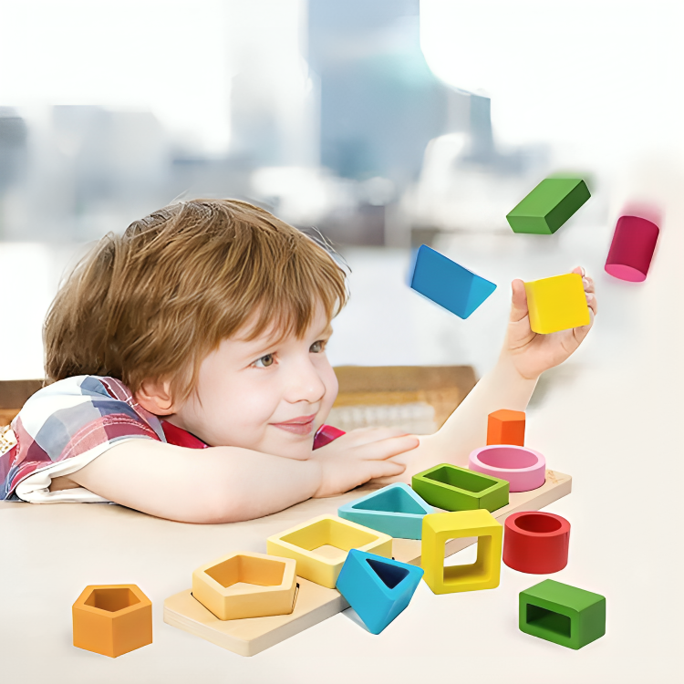 Montessori Shapes Sorting Game