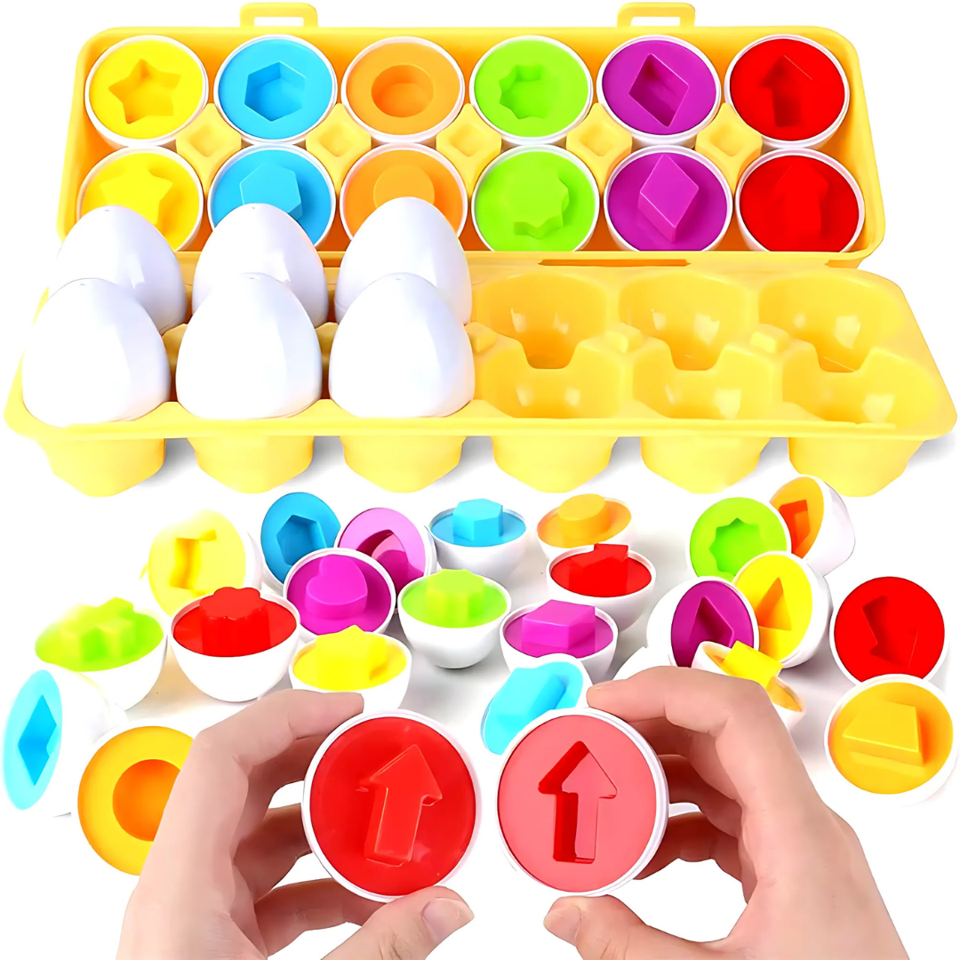 Montessori Eggs Shape Sorting