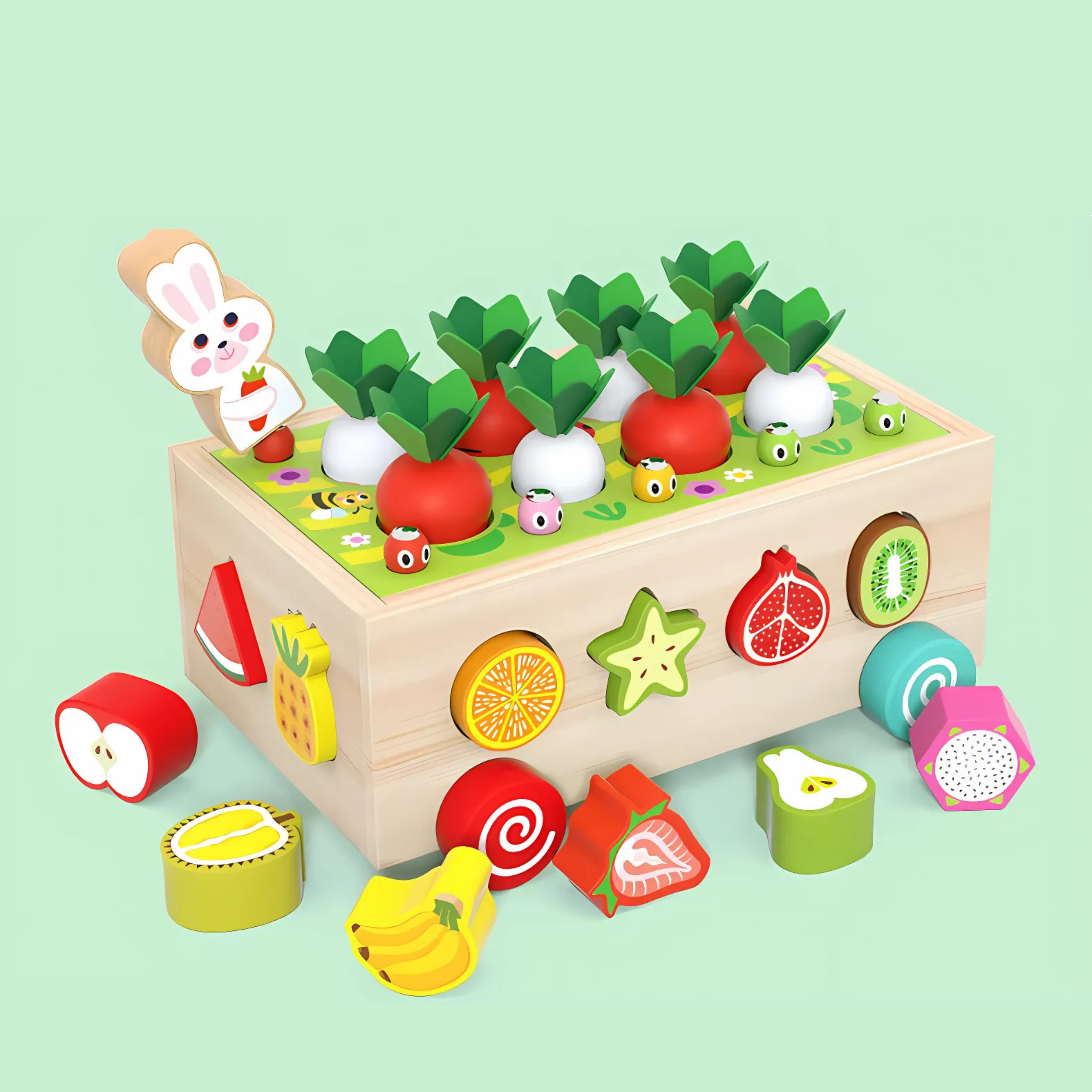 Montessori Toys for 1 Year Baby Pull Carrot Set Game