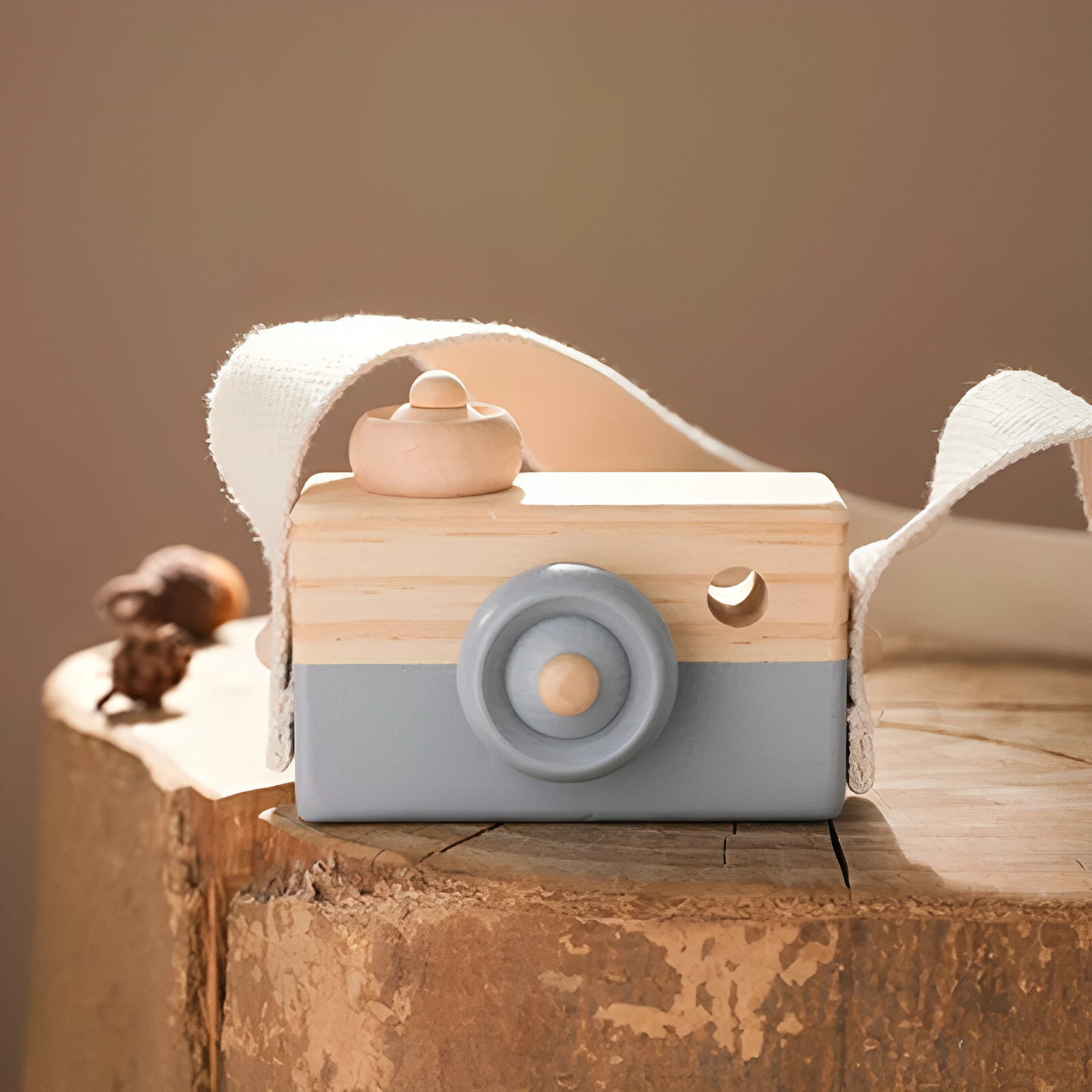 Wooden Camera